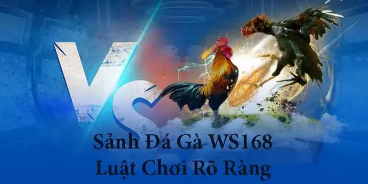 Hướng Dẫn Cách Chơi Đá Gà WS168 Tại Blue88 Chi Tiết Cho Tân Thủ 2 Hướng Dẫn Cách Chơi Đá Gà WS168 Tại Blue88 Chi Tiết Cho Tân Thủ