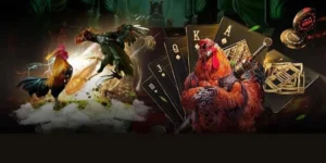 Kinh Nghiệm Cách Chơi Đá Gà GA28 Tại Blue88 Thắng Lớn Mỗi Ngày