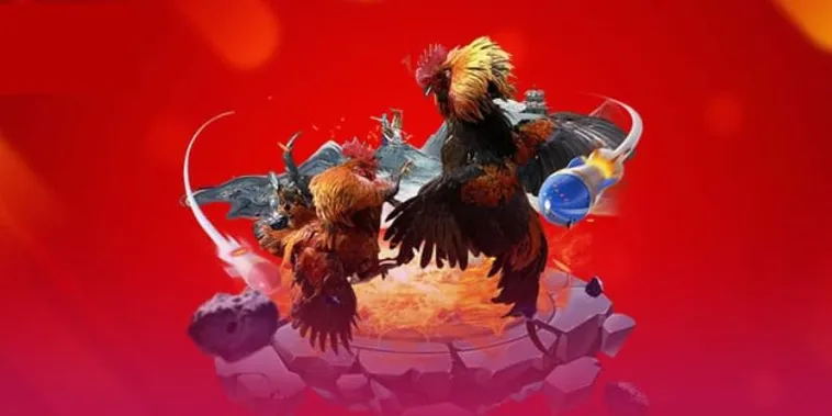 Trải Nghiệm Đá Gà Blue88 Đỉnh Cao Sôi Động Nhất Thị Trường Châu Á 1 Trải Nghiệm Đá Gà Blue88 Đỉnh Cao Sôi Động Nhất Thị Trường Châu Á